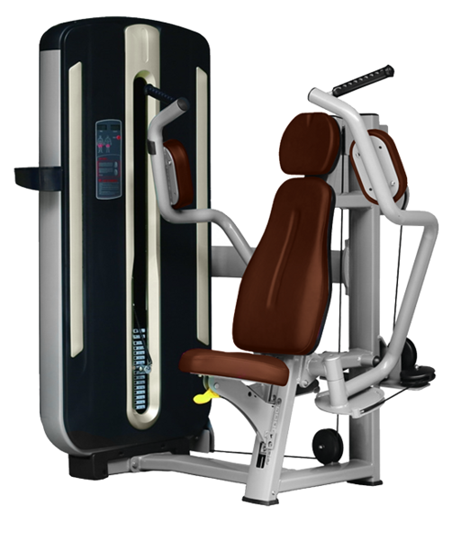 Баттерфляй Bronze Gym MNM-002